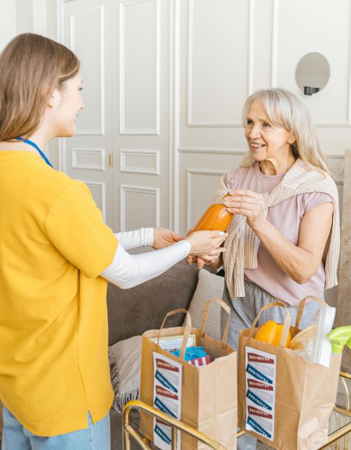 A senior woman receiving groceries from a young caregiver in a cozy living room setting.